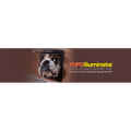 54X100 Fpu250 10 mil Paper Illuminate Grade