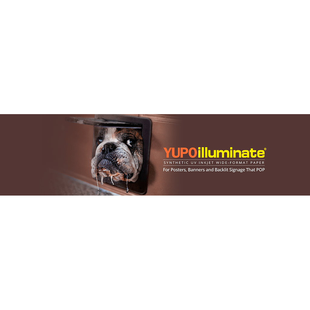 54X100 Fpu250 10 mil Paper Illuminate Grade
