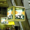 SO600 Back-Lit Matte PET Film 8.2 mil 60 inch x 100 ft