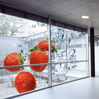 Arlon® DPF 6000RP Clear Premium Cast Pressure - Sensitive Print Film - SFPlastics&sSignSupply