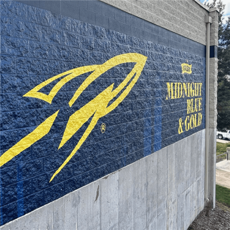 Arlon® DPF V9500 Cast Wall Film - SFPlastics&sSignSupply