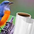 Graphictac 200-P175 Polymeric Gloss Clear Laminate