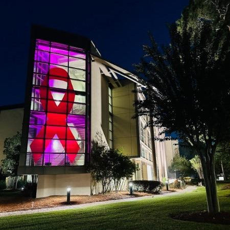 ORACAL® 651 Gloss Intermediate Cut Vinyl